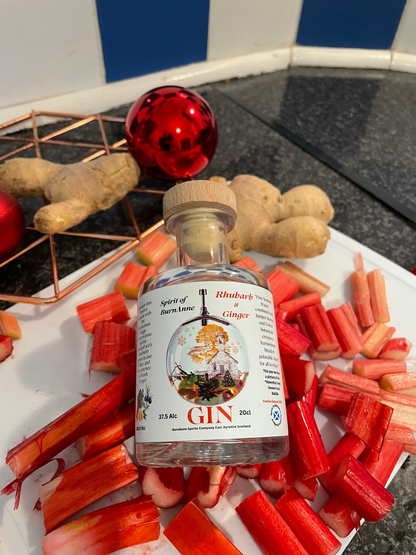 Rhubarb & Ginger Gin by BurnAnne Spirits
