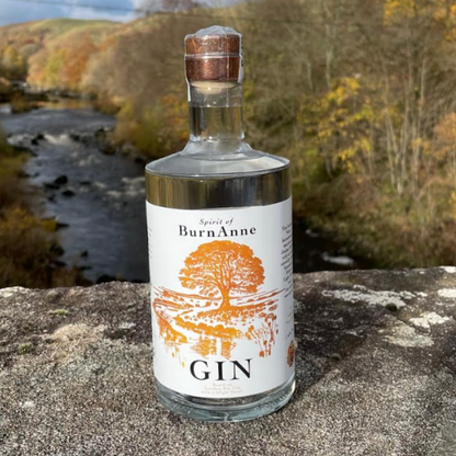 BurnAnne Gin